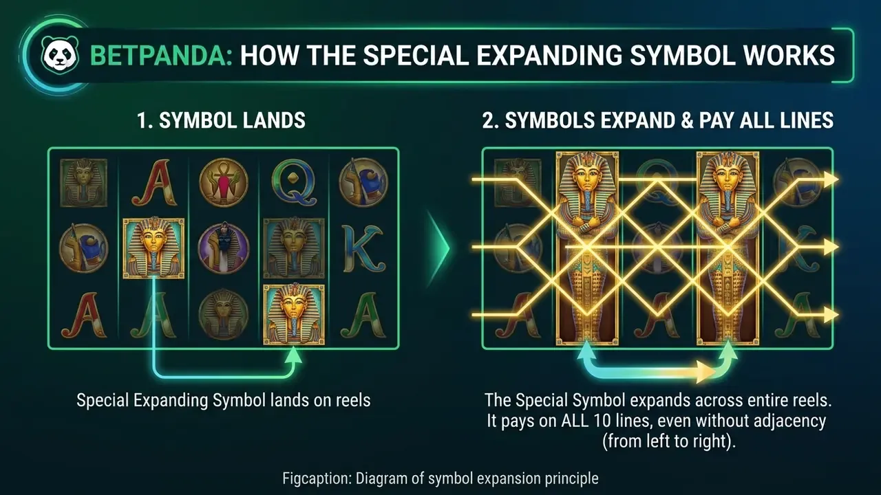 Diagram of symbol expansion in Book of Dead free spins