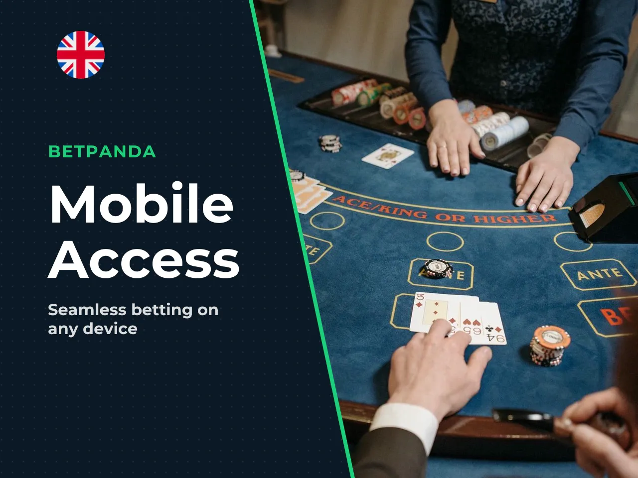 BetPanda Mobile Experience and App Availability