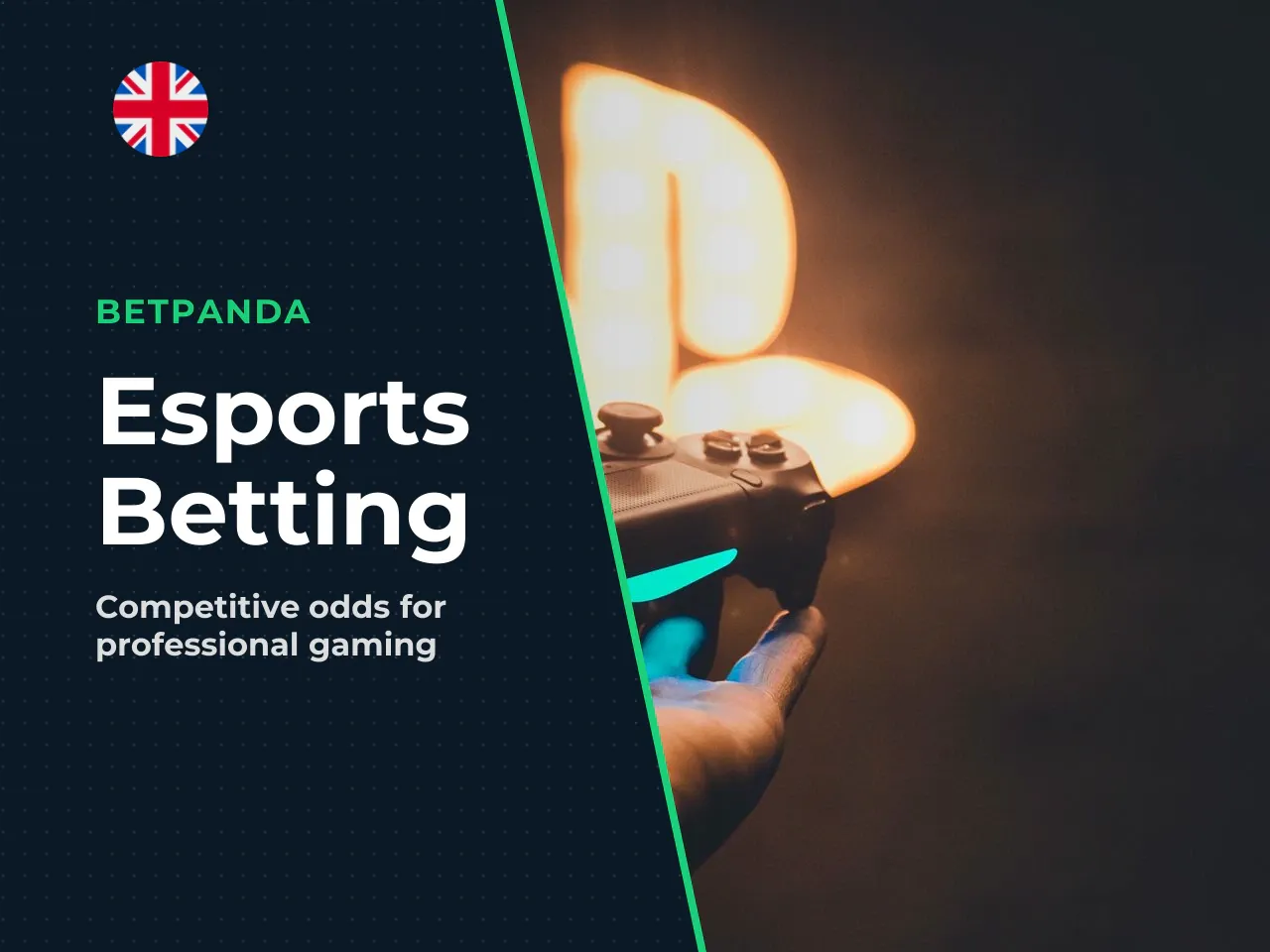 Esports Betting and Niche Sports Disciplines